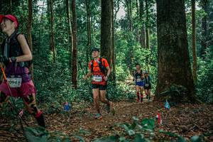 BIB: 
                            <button type="button" onclick="openModal(26099837)" class="btn btn-primary btn-sm float-right btn-popup" data-toggle="modal" data-target=".modal-high-quality">
                        <i class="fas fa-shopping-cart"></i> Add to Cart
                    </button>
                                            <button type="button" onclick="isThisMe(26099837, true)" class="btn btn-success btn-sm float-right btn-popup btn-isme hidden" data-toggle="tooltip" data-placement="bottom" title="นี่คือรูปของคุณใช่ไหม คลิกที่นี่เพื่อเอาเข้าอัลบั้ม">
                        <i class="fas fa-plus"></i> Add to album
                    </button>
                    <button type="button" onclick="isThisMe(26099837, false)" class="btn btn-warning btn-sm float-right btn-popup btn-isnotme hidden">
                        <i class="fas fa-ban"></i> Remove from album
                    </button>